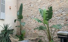 Villa Les Fougeres Studio Jardin